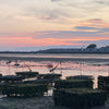 Sunset SeaFarm and oyster tour - 14 Aug 2026