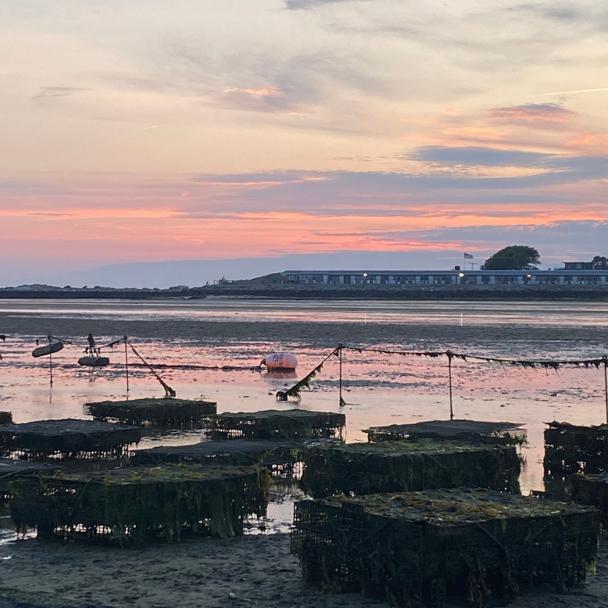 Sunset SeaFarm and oyster tour - 14 Aug 2026