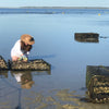Oyster Tour - 3 Jun 2026