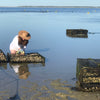 Oyster Tour - 4 Jun 2026
